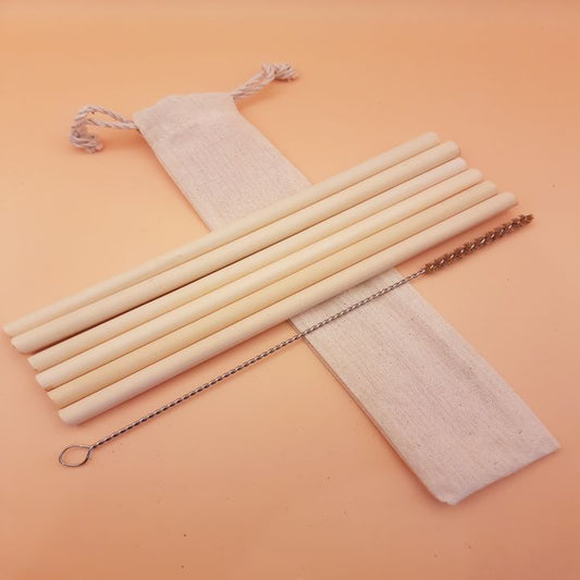 Bamboo 6 Straw Travel Set with cleaner